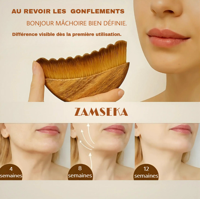 Zamseka - Brosse de massage lymphatique