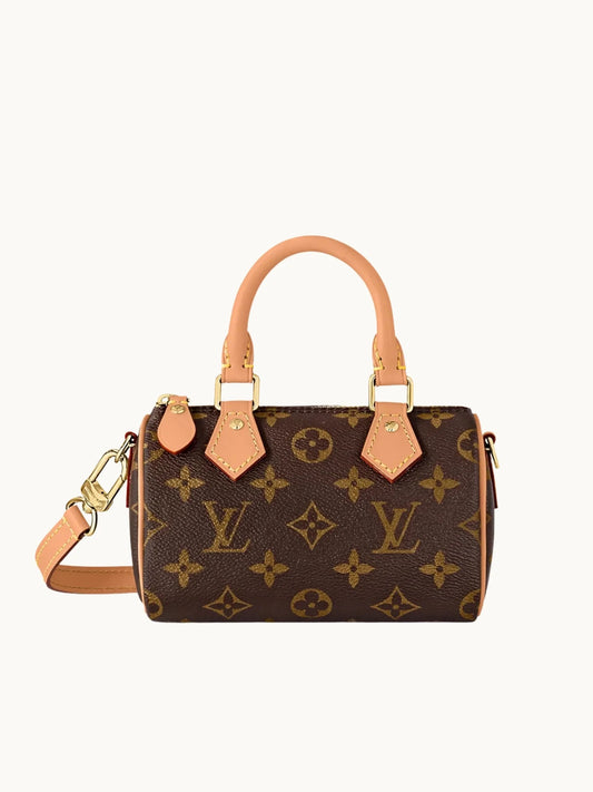 Mini LV Bag